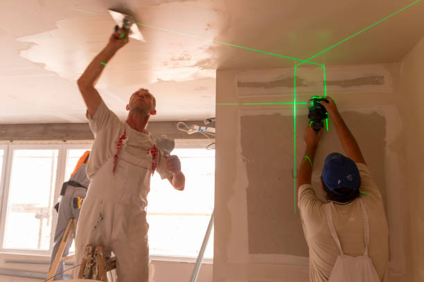 Best Attic Mold Removal  in Wingate, NC