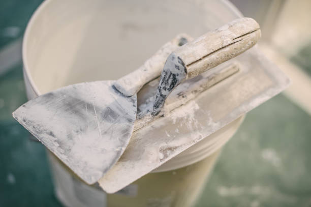 Best Mold-Related Health Consultation  in Wingate, NC